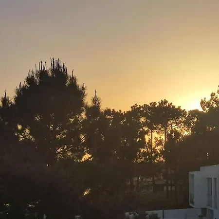 Beach, Surf And Golf Near Lisbon * Aroeira (Setubal)